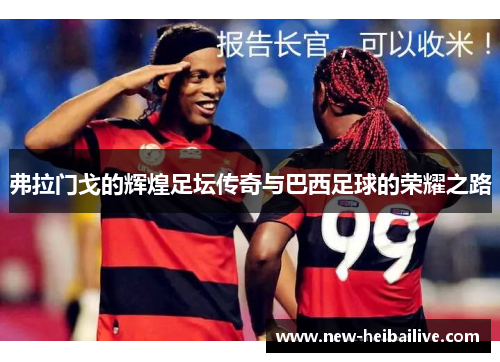 弗拉门戈的辉煌足坛传奇与巴西足球的荣耀之路 弗拉门戈的辉煌足坛传奇与巴西足球的荣耀之路