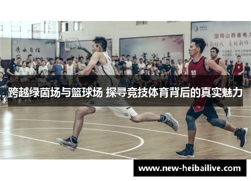 跨越绿茵场与篮球场 探寻竞技体育背后的真实魅力 跨越绿茵场与篮球场 探寻竞技体育背后的真实魅力