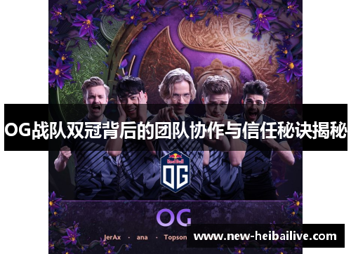 OG战队双冠背后的团队协作与信任秘诀揭秘