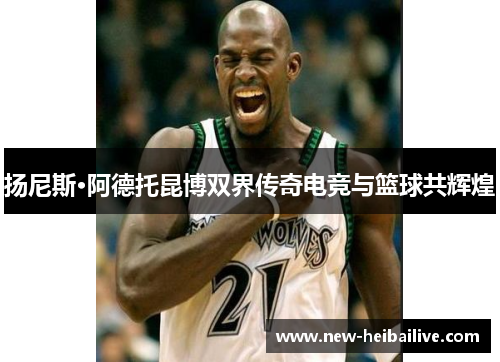 扬尼斯·阿德托昆博双界传奇电竞与篮球共辉煌 扬尼斯·阿德托昆博双界传奇电竞与篮球共辉煌